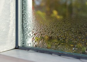 Condensation on a window